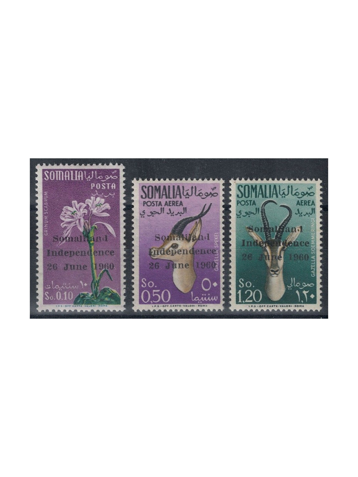 SOMALIA 1960 Independence 3v MNH**