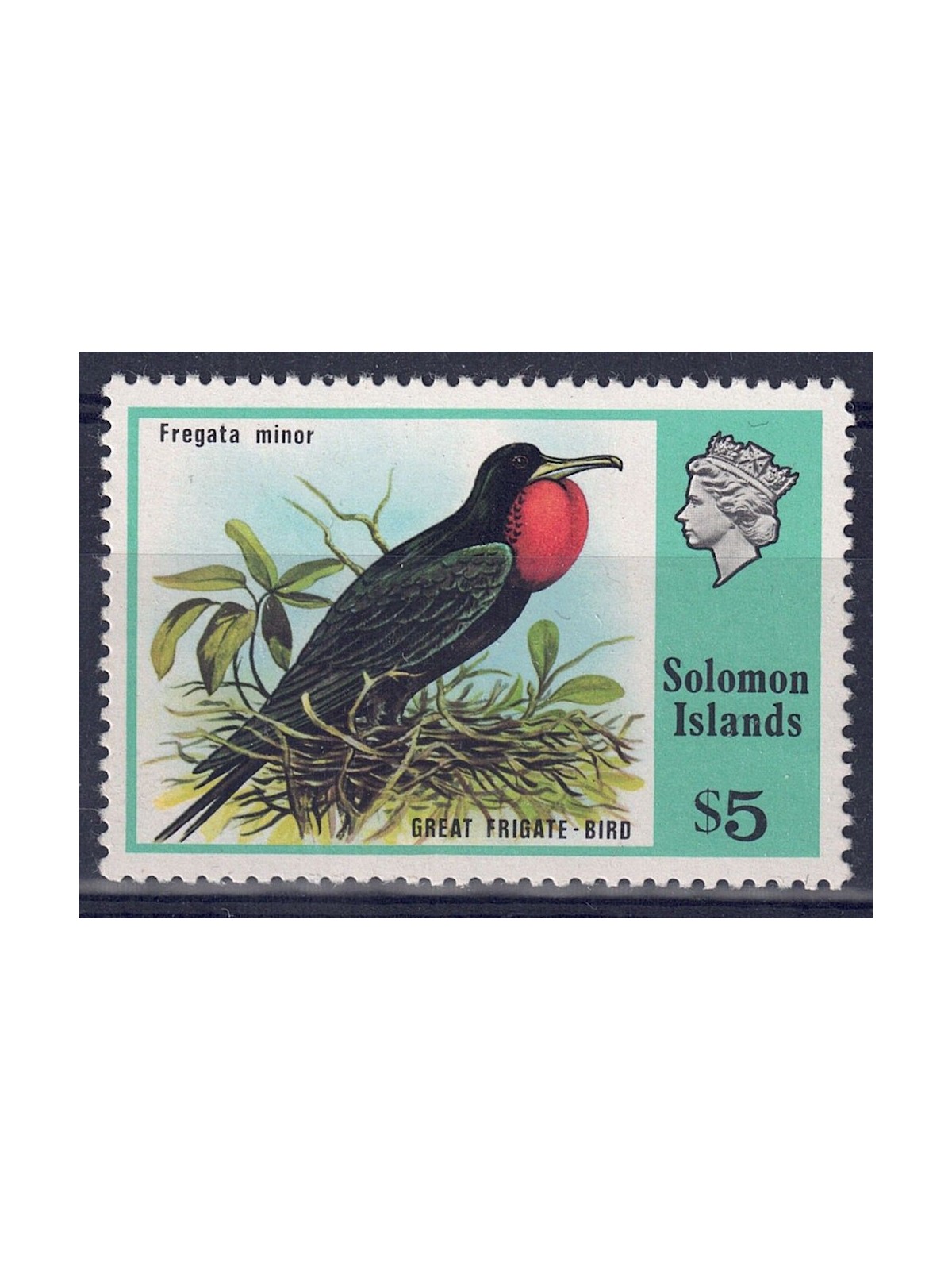 SOLOMON 1976 Uccelli (Fregata minor) MNH**