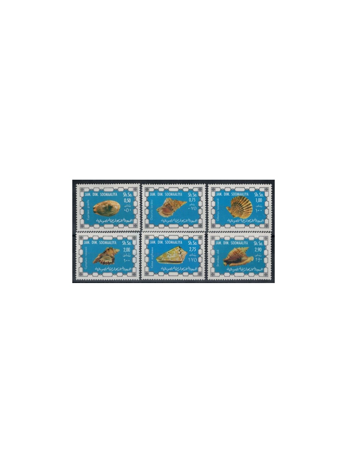 SOMALIA 1976 Conchiglie 6v MNH**