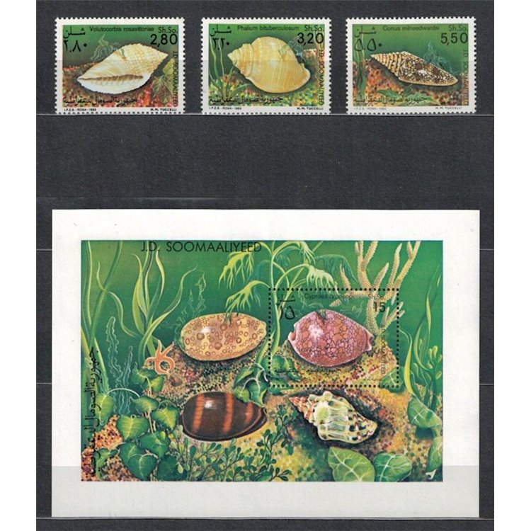 SOMALIA 1984 Marine fauna, shells 3v + 1 s/s MNH**