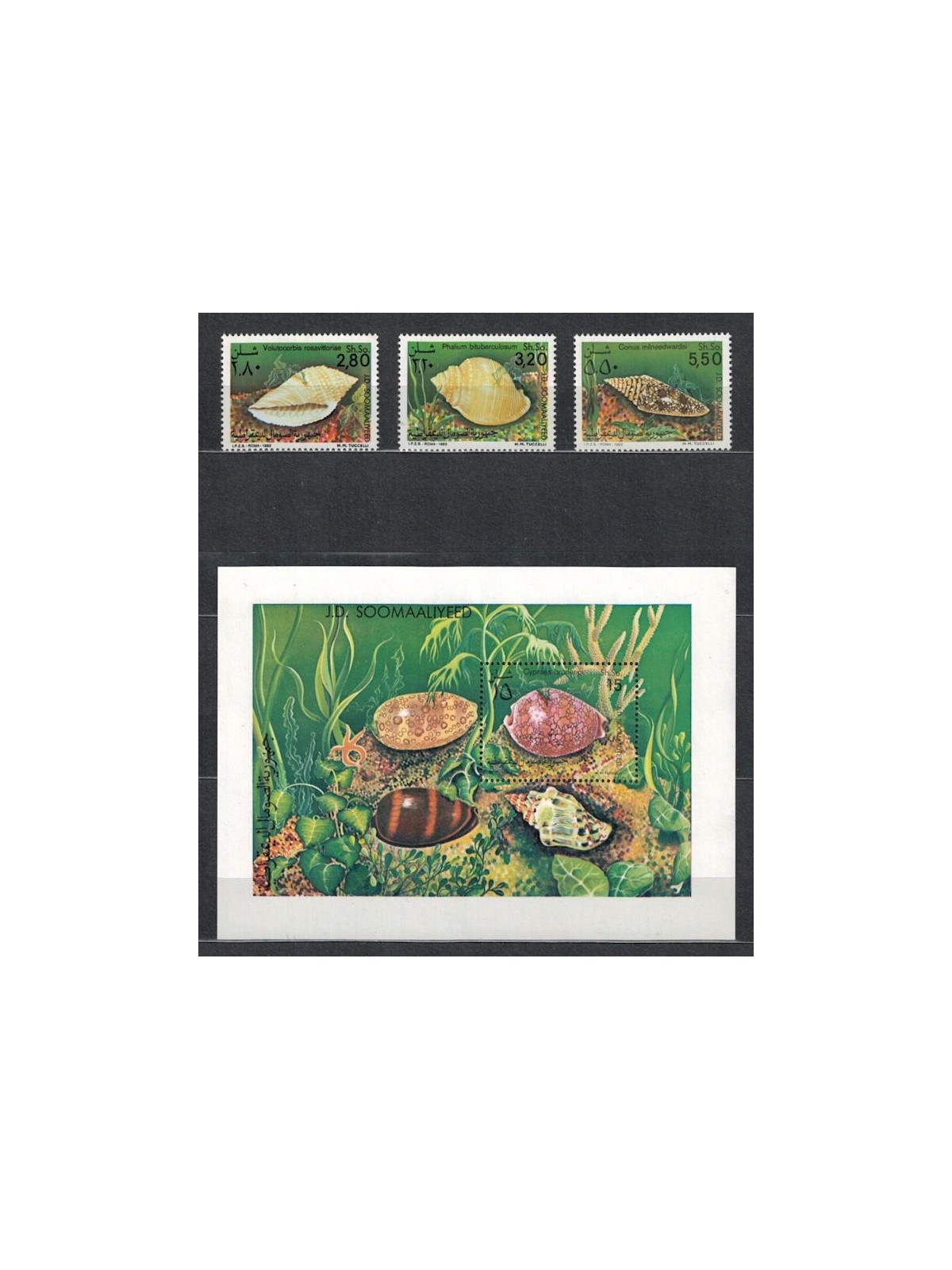 SOMALIA 1984 Fauna marina, Conchiglie 3v + 1 BF MNH**