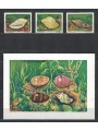 SOMALIA 1984 Fauna marina, Conchiglie 3v + 1 BF MNH**