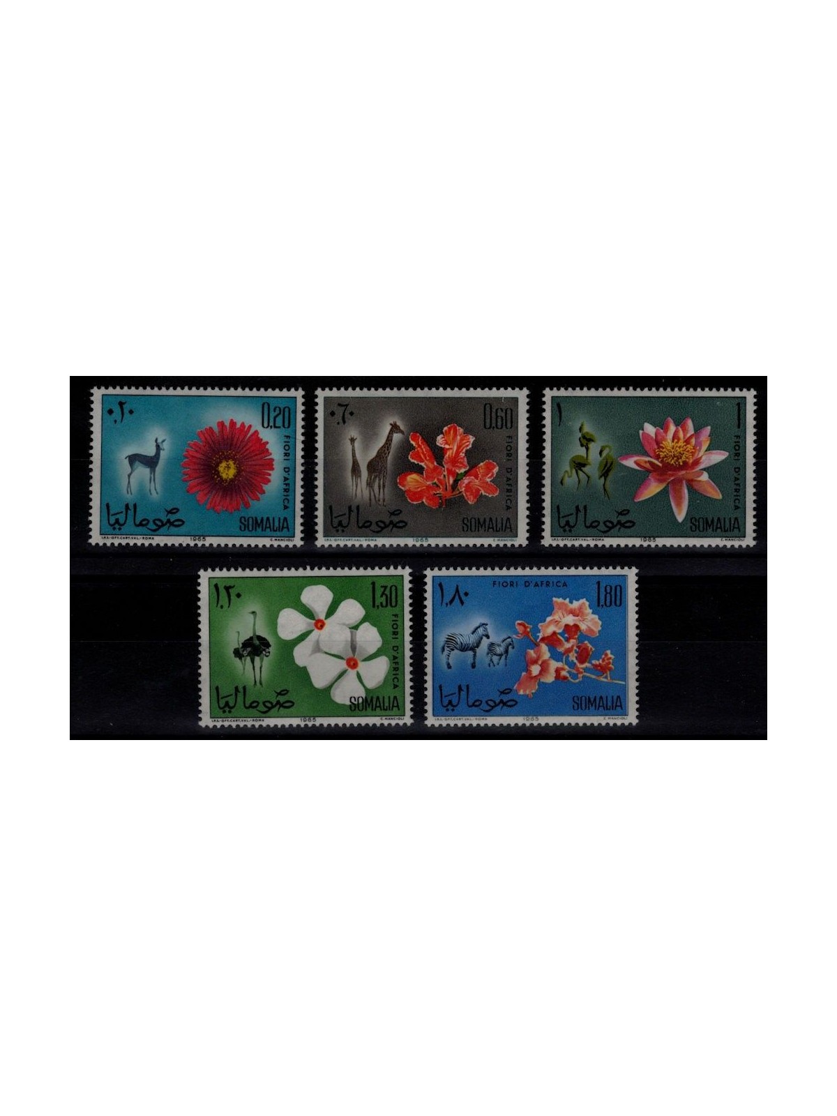 SOMALIA 1965 Flora and fauna 5v MNH**
