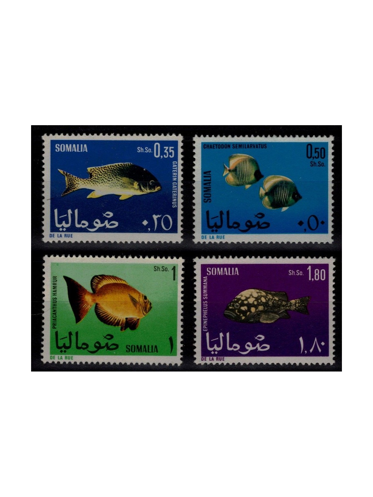 SOMALIA 1967 Tropical fish 4v MNH**