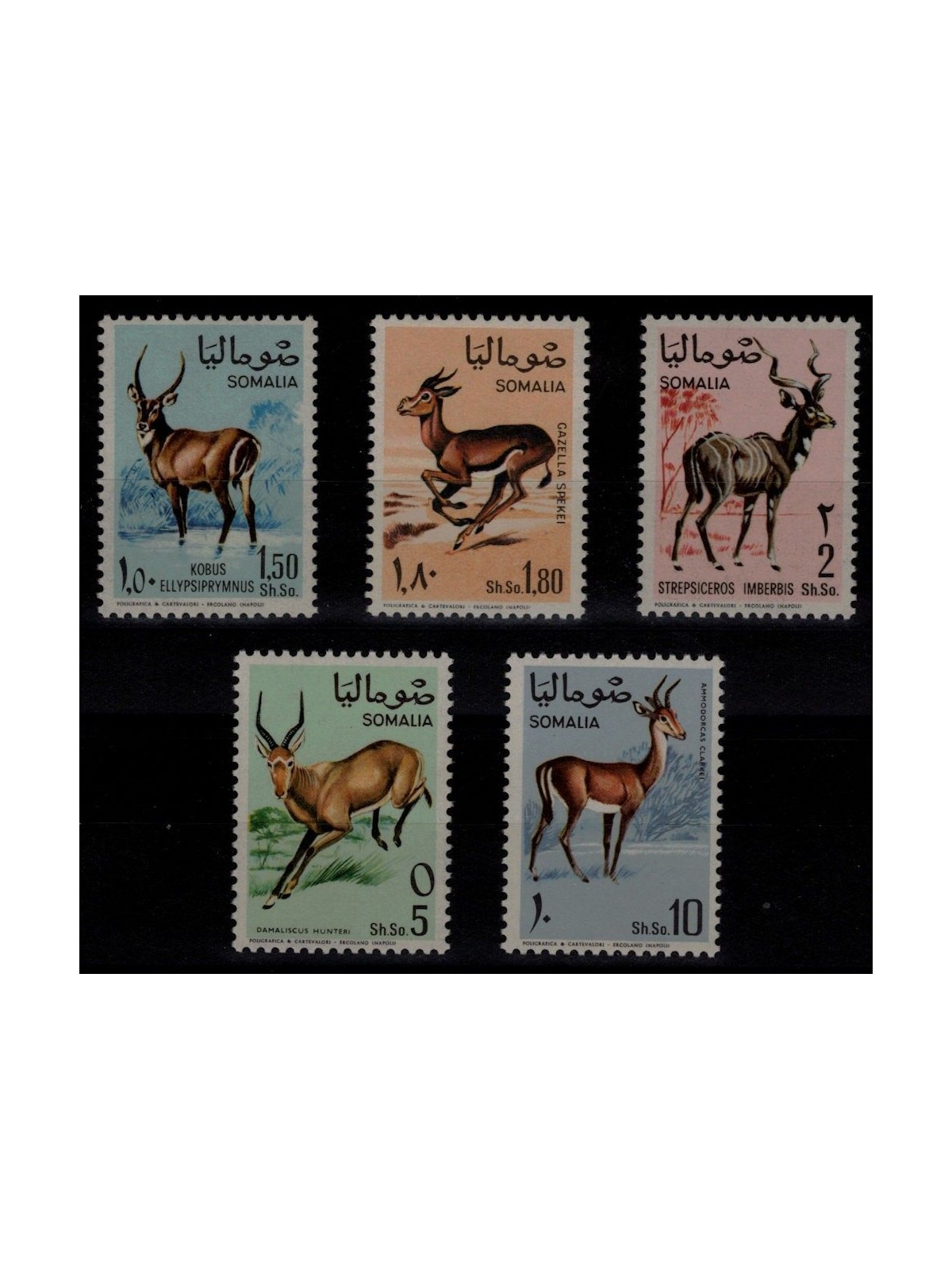 SOMALIA 1968 Animali da caccia 5v MNH**