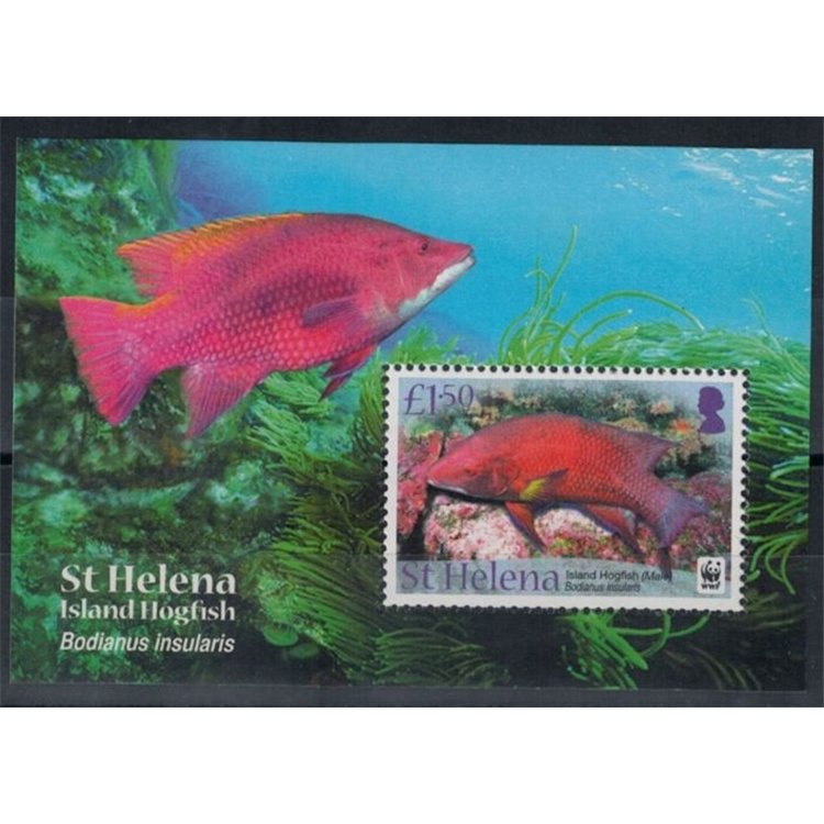 ST. HELENA 2011 WWF, Fish - WWF, Island hogfish s/s MNH**