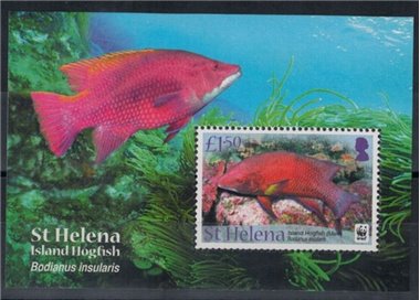 ST. HELENA 2011 WWF, Pesci - WWF, Island hogfish BF MNH**
