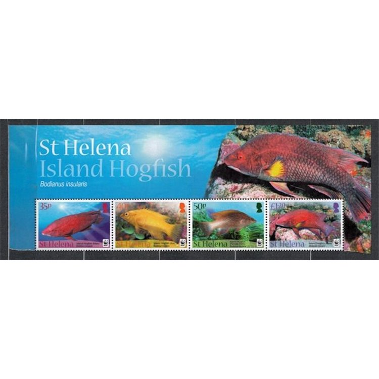 ST. HELENA 2011 WWF, Pesci - WWF, Island hogfish 4 v