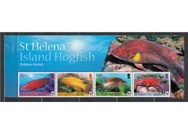 ST. HELENA 2011 WWF, Pesci - WWF, Island hogfish 4 v