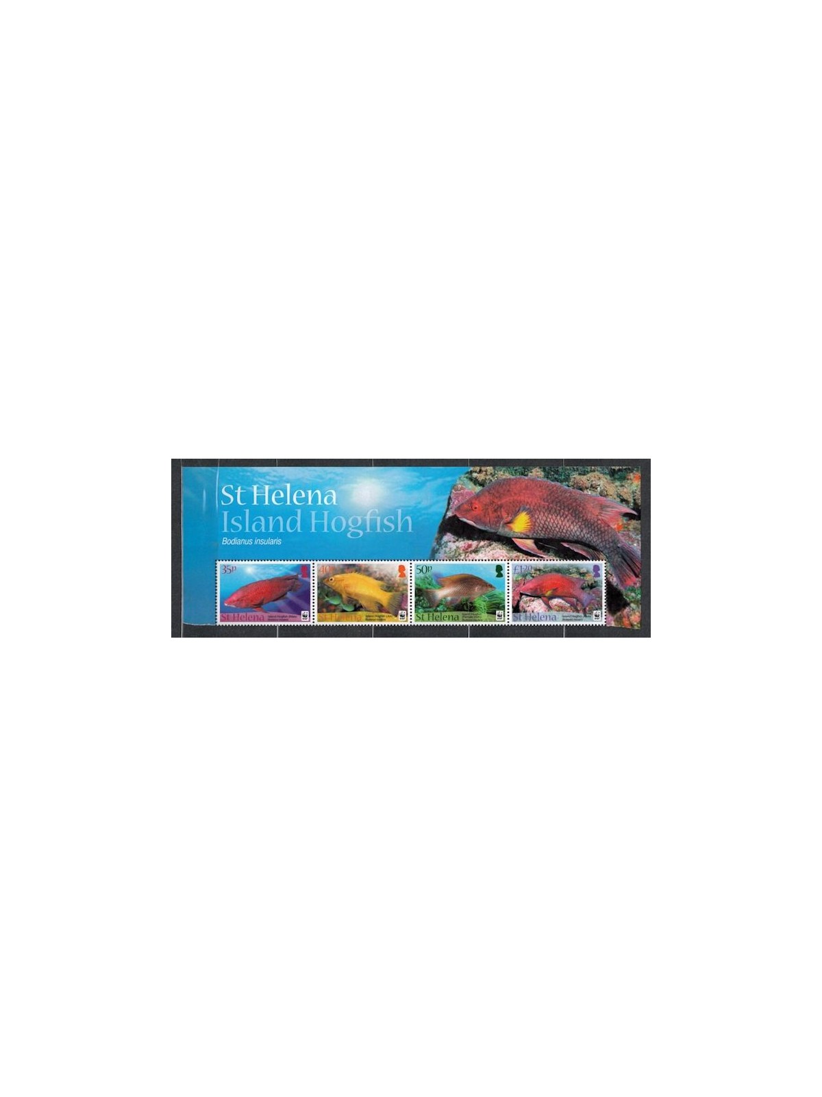 ST. HELENA 2011 WWF, Pesci - WWF, Island hogfish 4 v