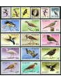 ST. KITTS 1982 Serie ordinaria, uccelli - Birds 18v MNH**