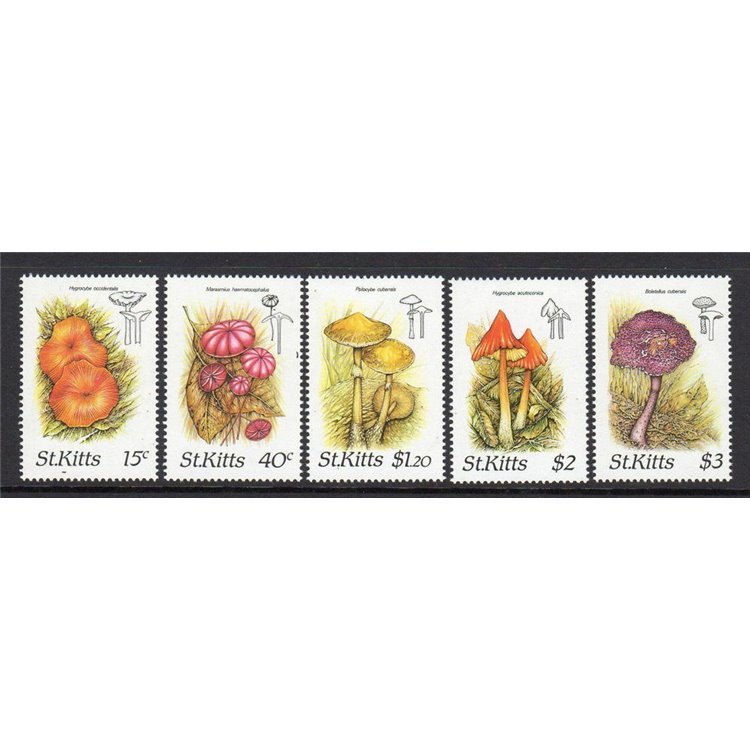 ST. KITTS 1987 Funghi - Mushrooms 5v MNH**