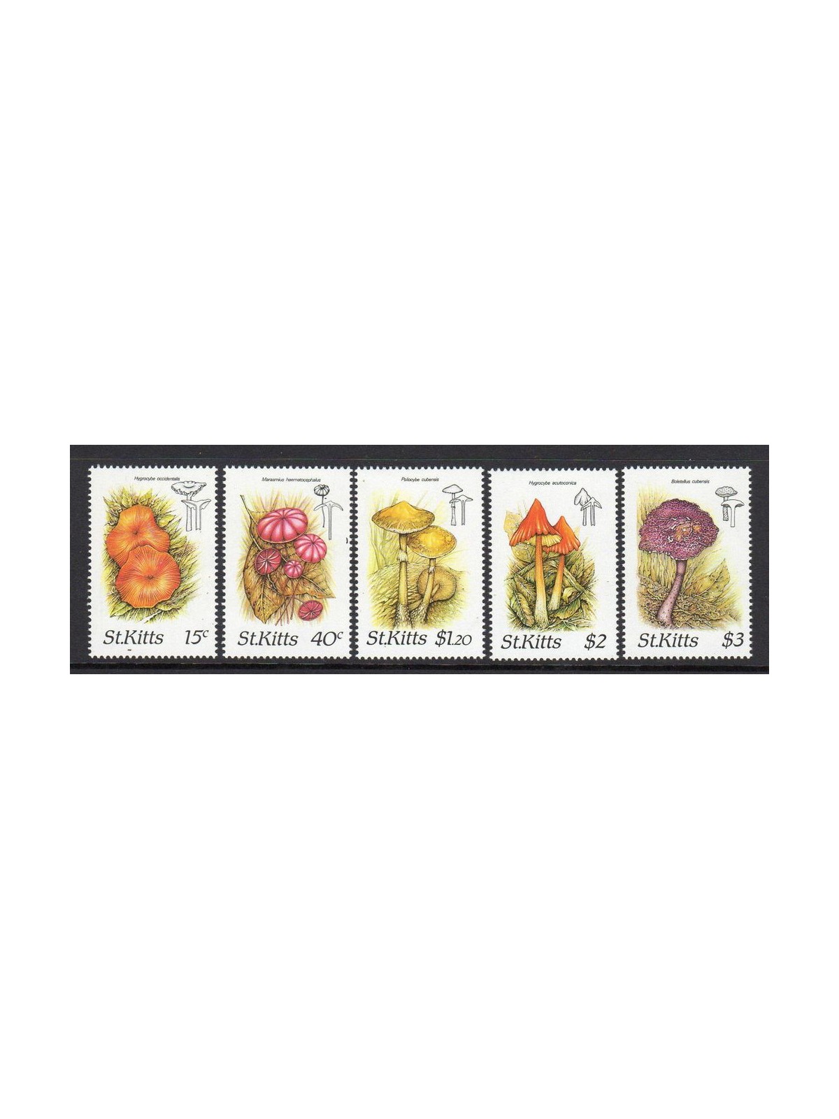 ST. KITTS 1987 Funghi - Mushrooms 5v MNH**