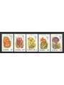 ST. KITTS 1987 Mushrooms - Mushrooms 5v MNH**
