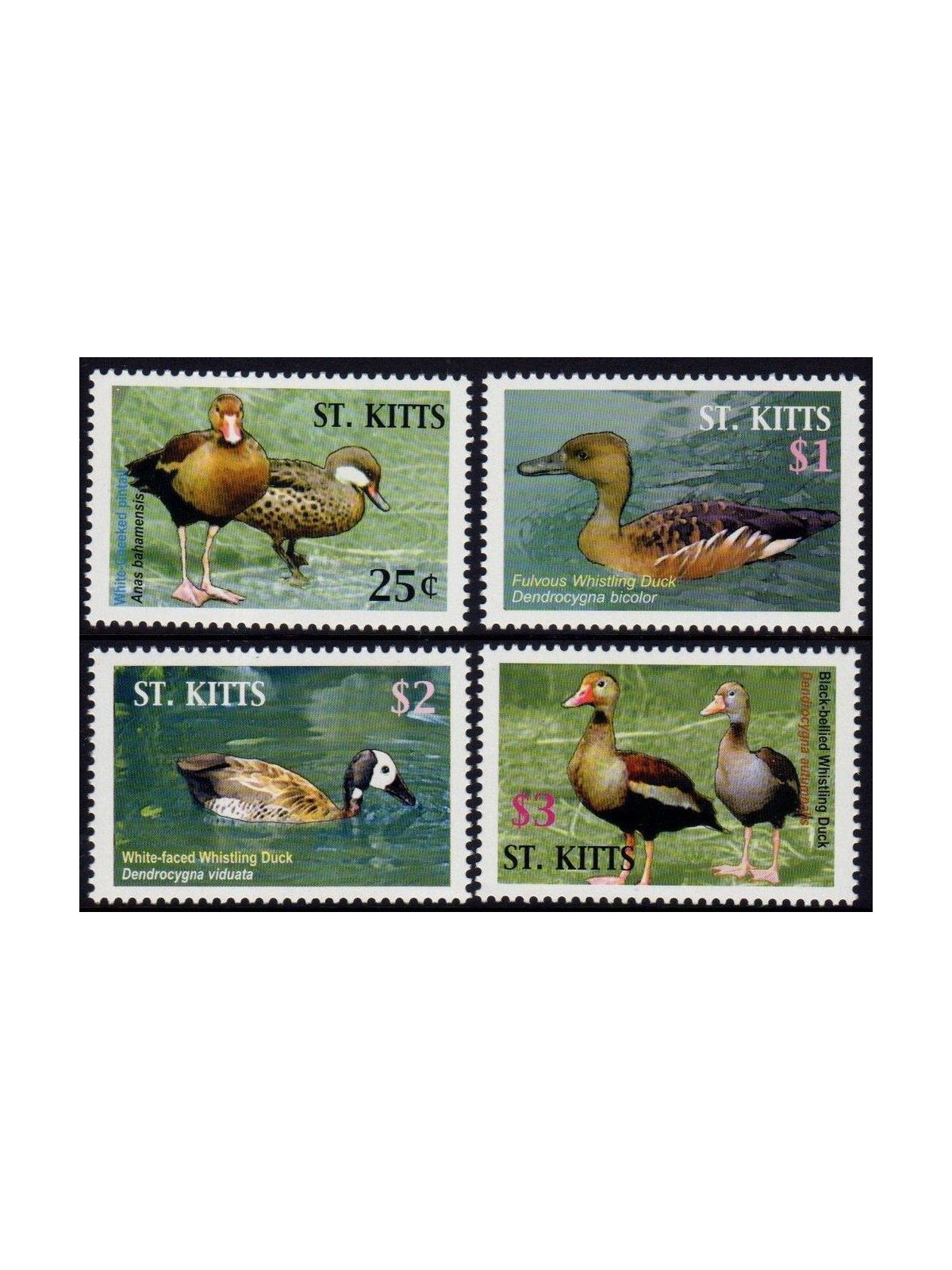 ST. KITTS 2005 Papere - Ducks 4v MNH**