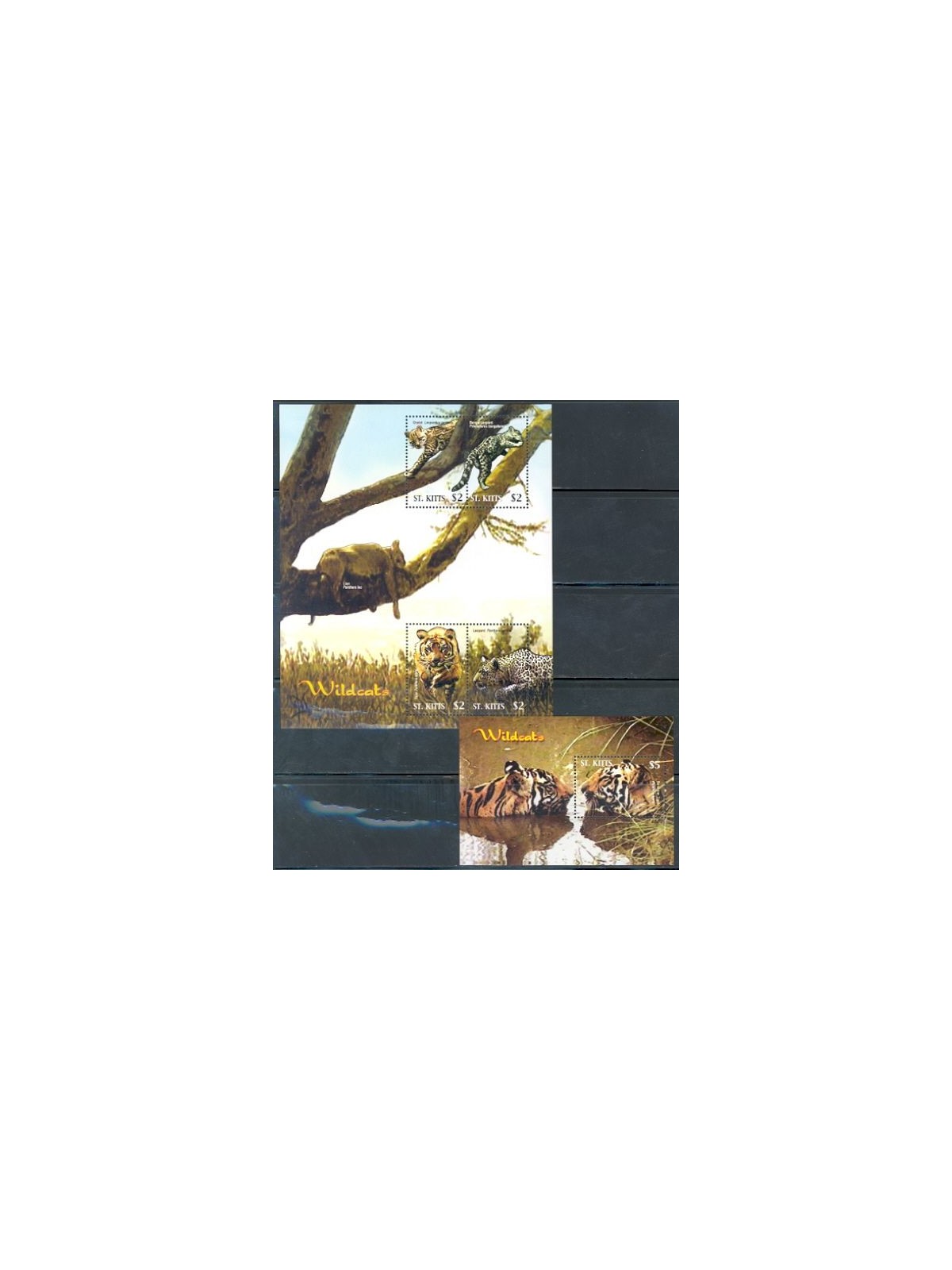 ST. KITTS 2005 Tigri - Wildcats 4v + 1 BF MNH**