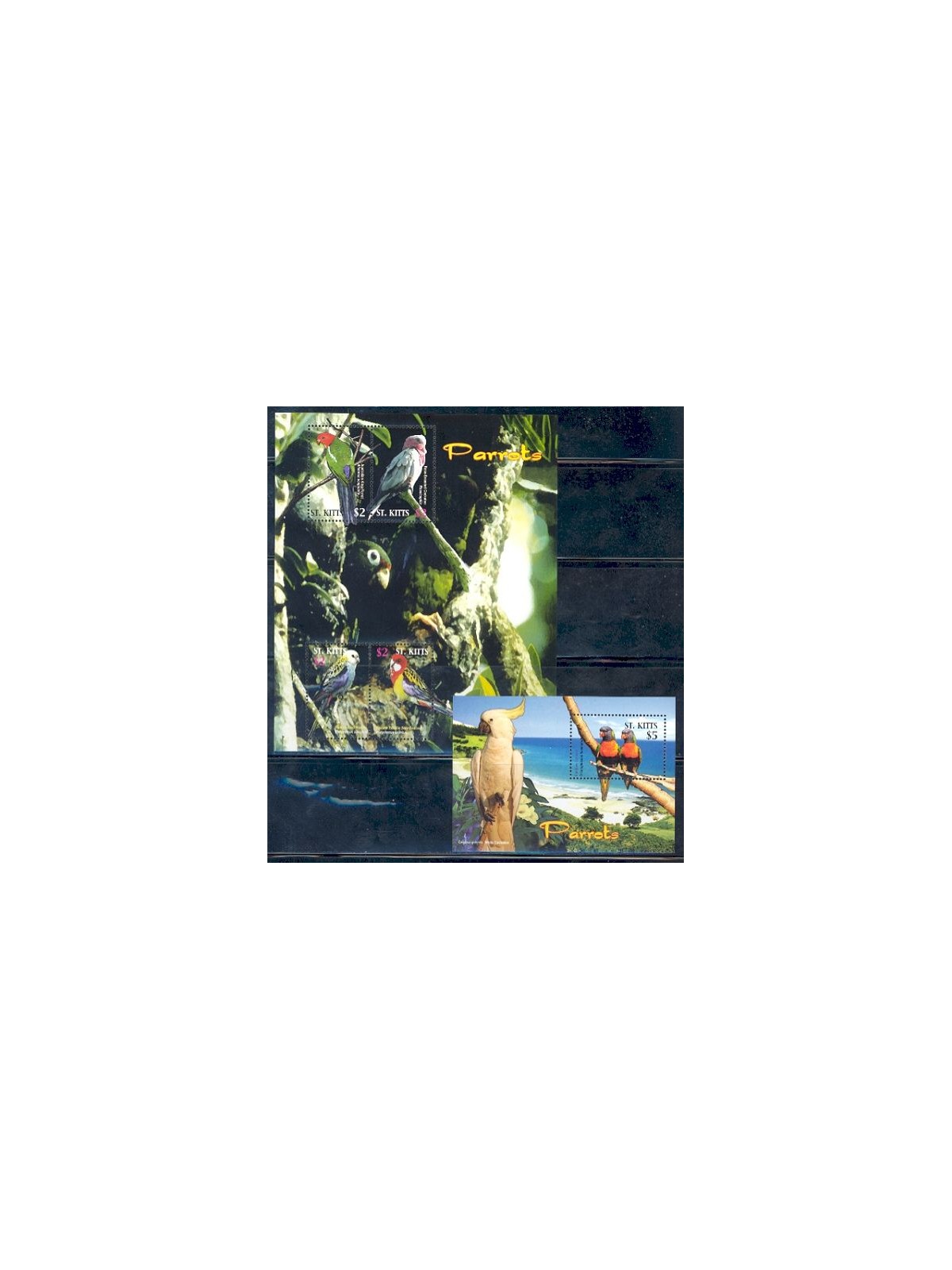 ST. KITTS 2005 Parrots - Parrots 4v + 1 s/s MNH**