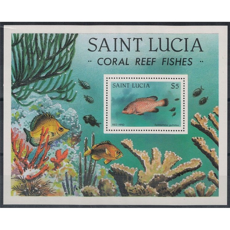 ST. LUCIA 1983 Fauna marina, pesci BF MNH**