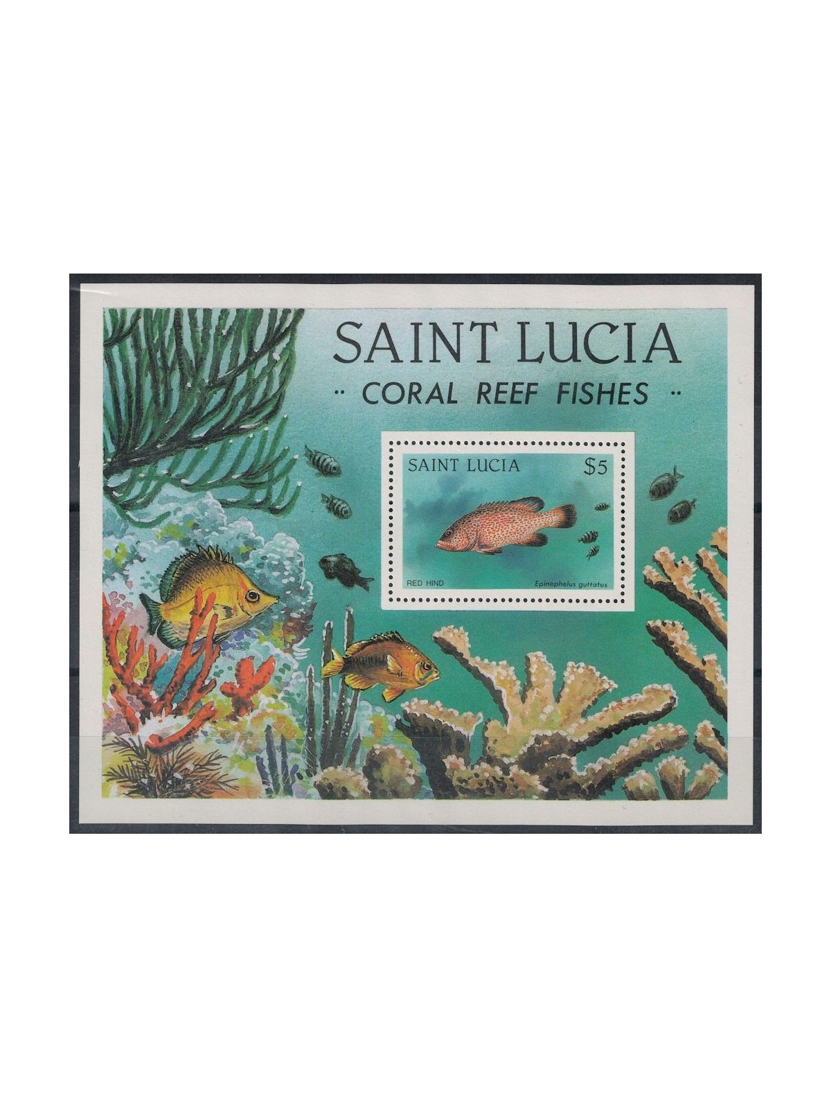 ST. LUCIA 1983 Marine fauna, fish s/s MNH**