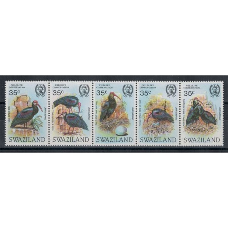 SWAZILAND 1984 Fauna, bald ibis 5v MNH**