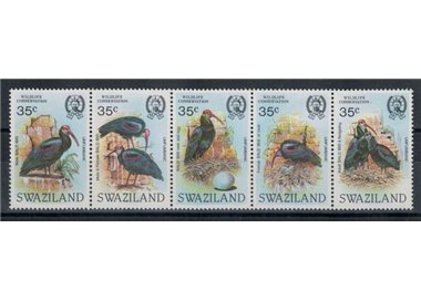 SWAZILAND 1984 Fauna, bald ibis 5v MNH**