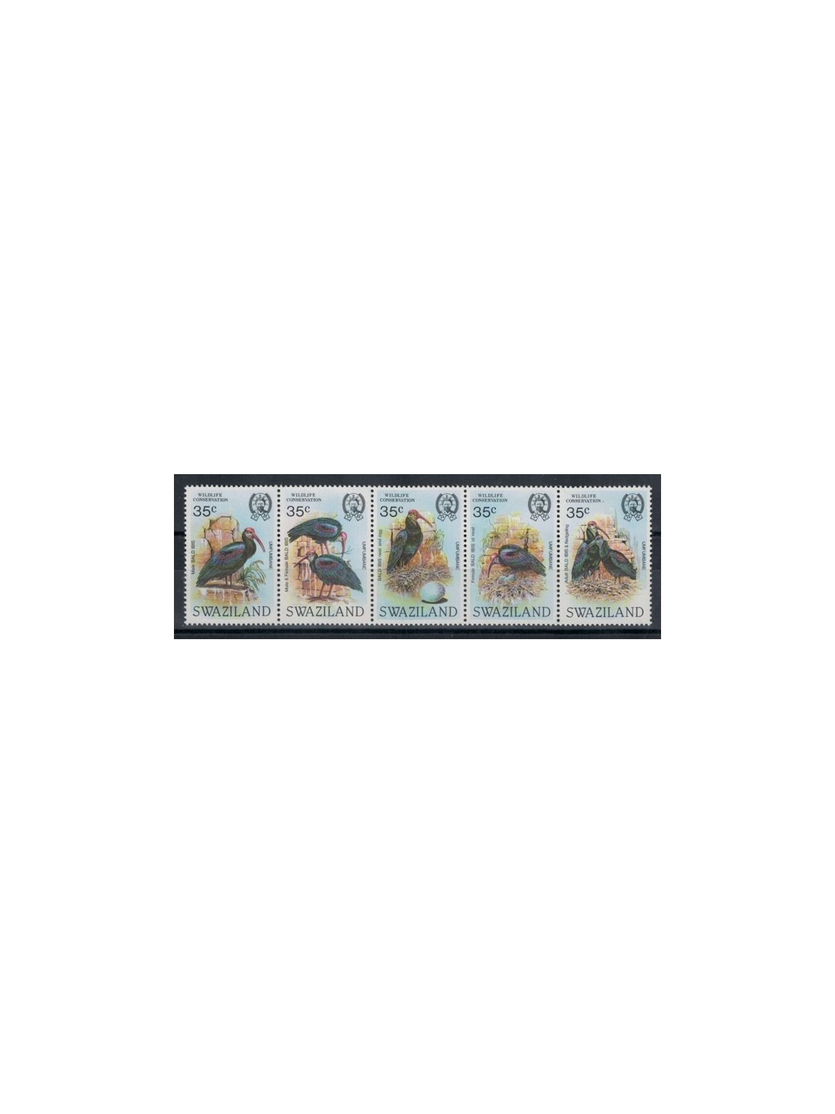 SWAZILAND 1984 Fauna, bald ibis 5v MNH**