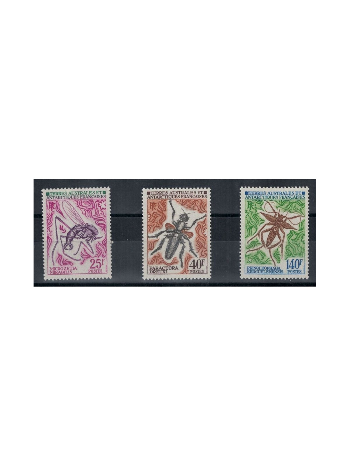 TAAF 1972 Fauna, insetti 3v MNH**