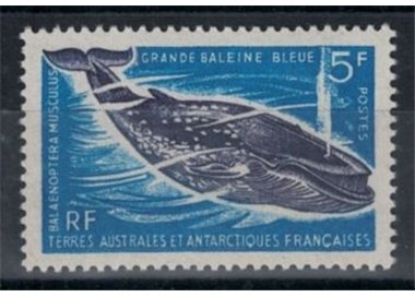TAAF 1966 Marine fauna, blue whale MNH**