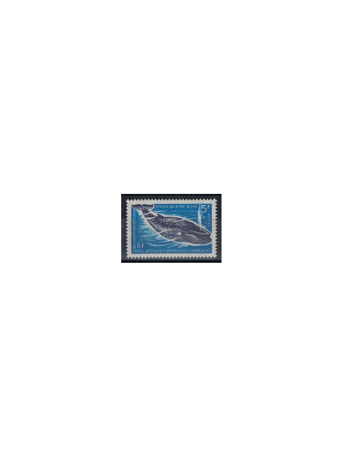 TAAF 1966 Marine fauna, blue whale MNH**