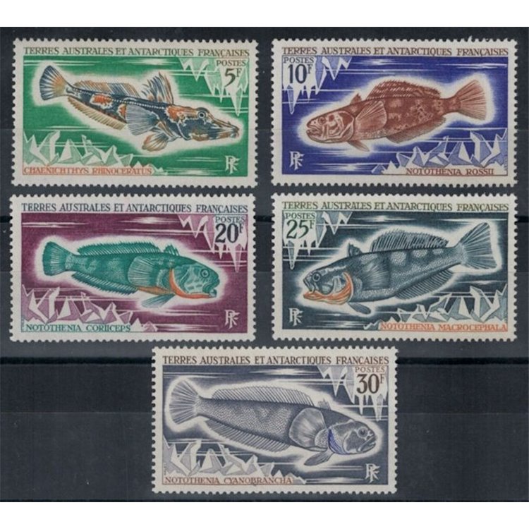 TAAF 1971 Fauna marina, pesci 5v MNH**