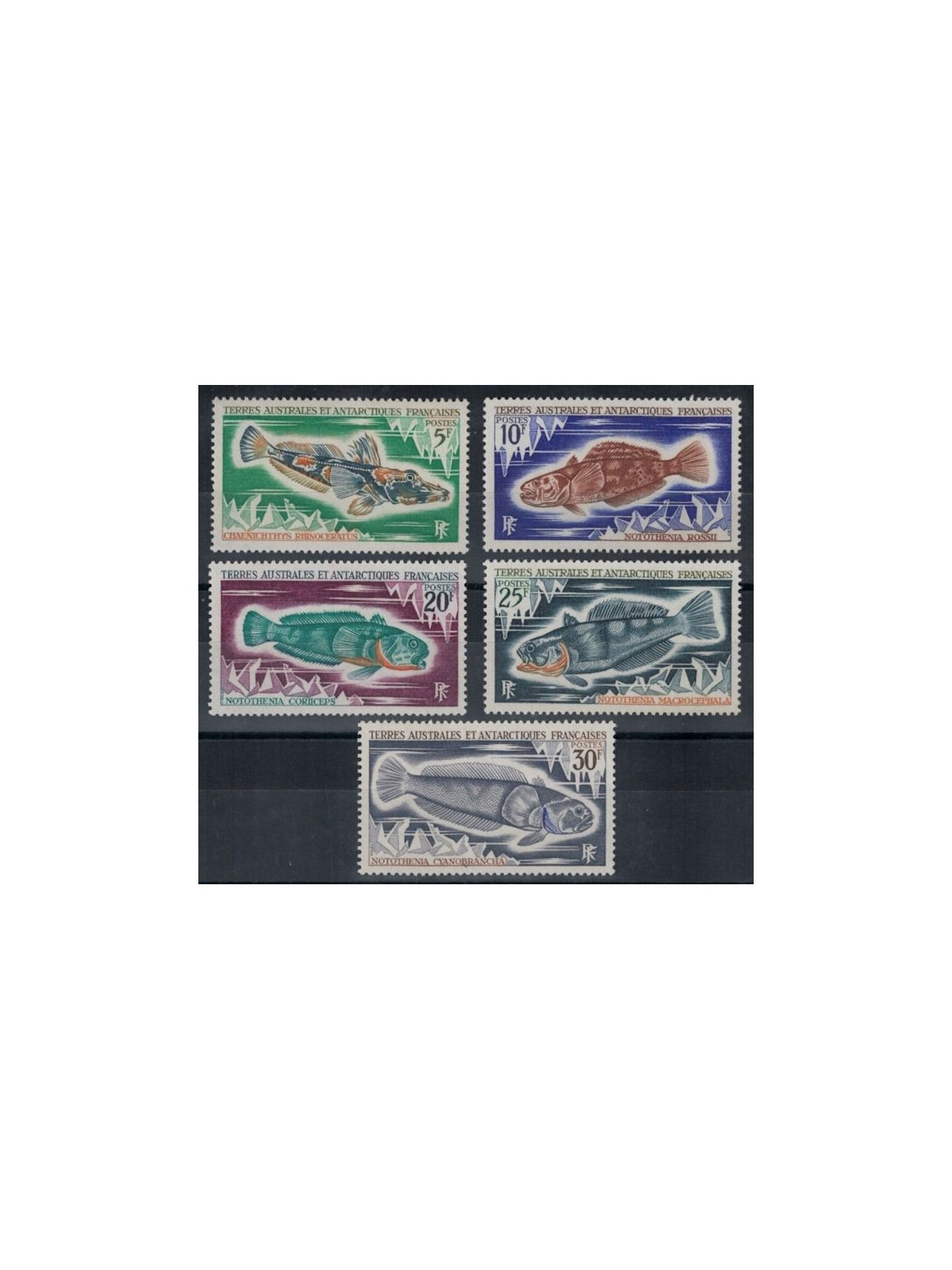 TAAF 1971 Marine fauna, fish 5v MNH**