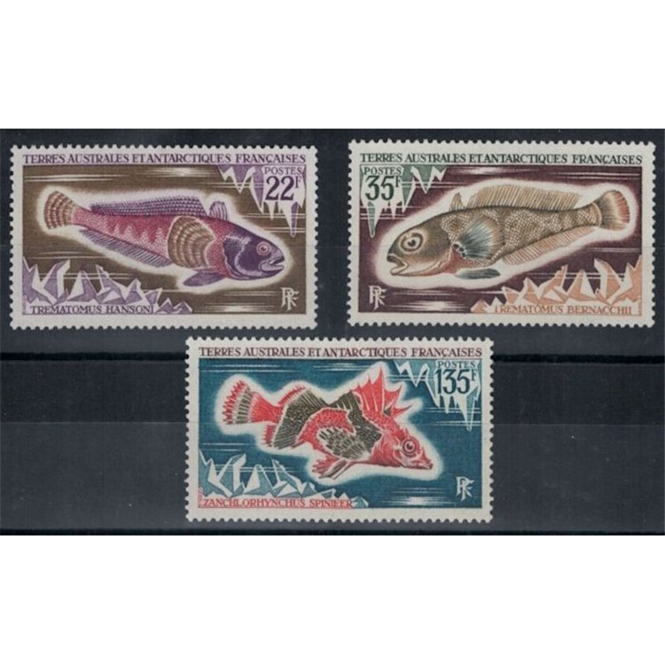 TAAF 1972 Marine fauna, fish 3v MNH**