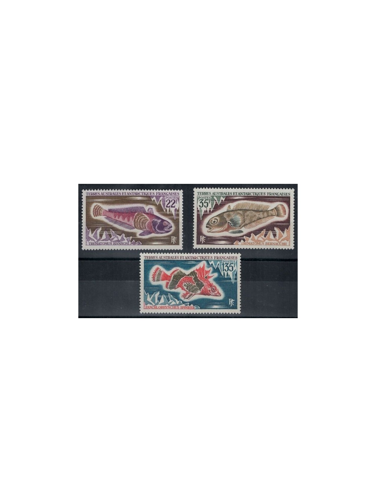TAAF 1972 Fauna marina, pesci 3v MNH**