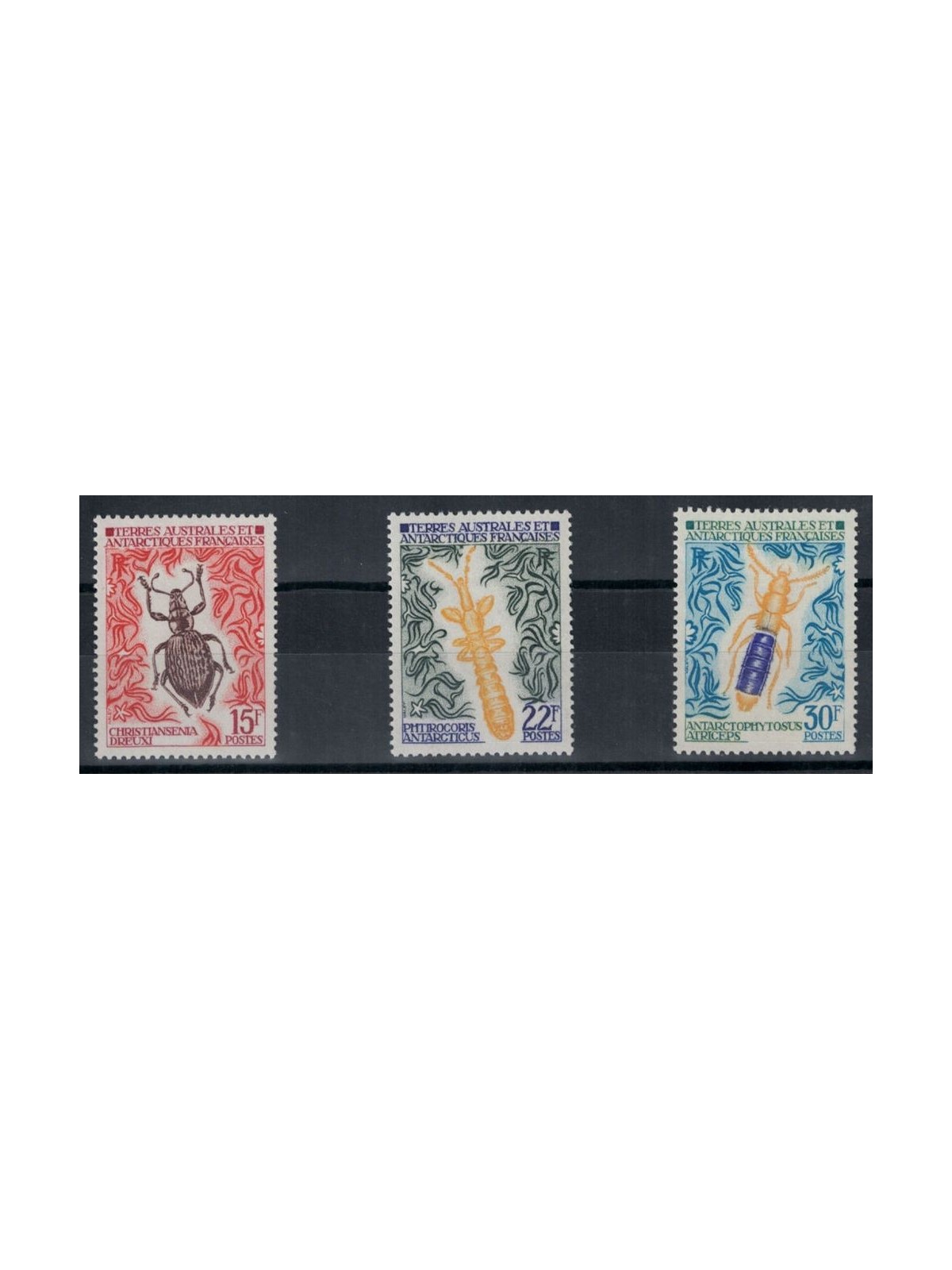 TAAF 1973 Fauna, insects 3v MNH**