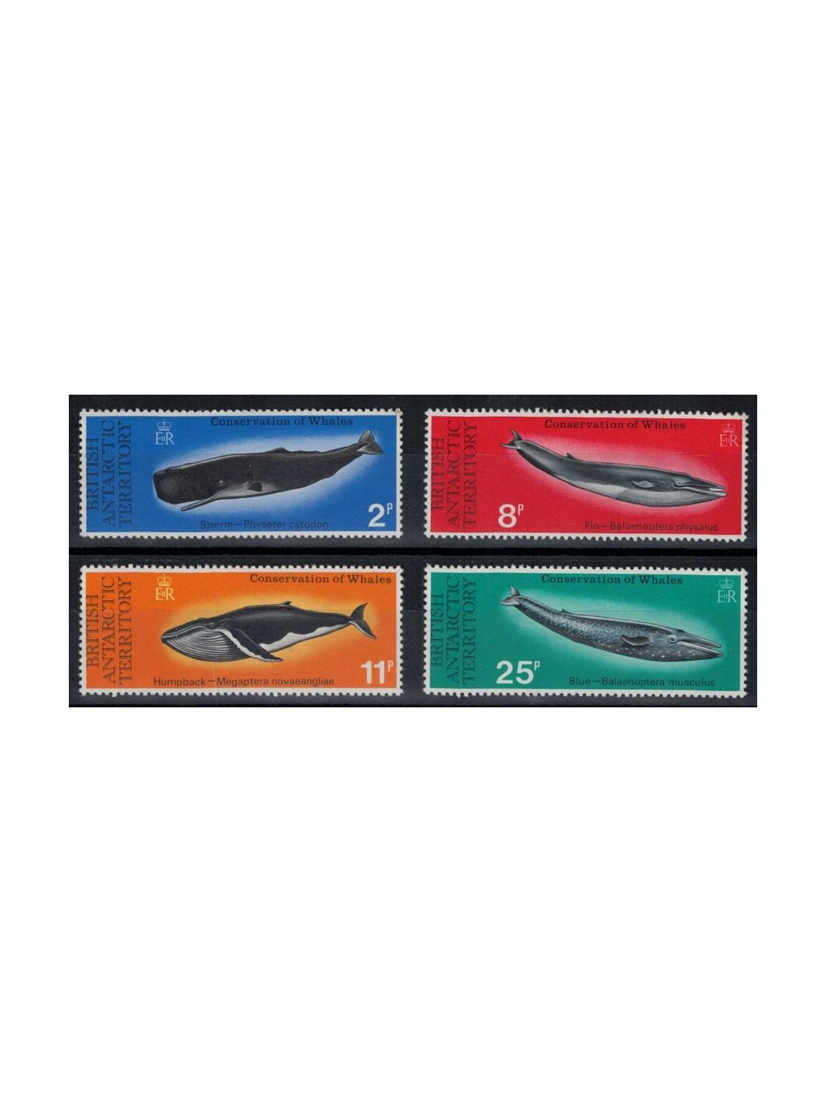 BRITISH ANTARCTIC TERRITORY 1977 Whales 4v MNH**