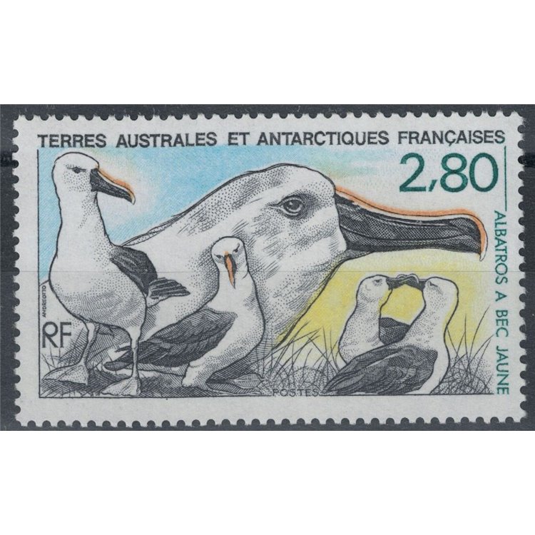 TAAF 1990 Wildlife, albatross MNH**