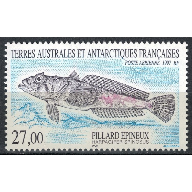 TAAF 1997 Antarctic fauna (Harpagifer spinosus), MNH airmail**