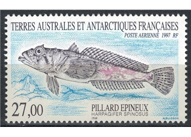 TAAF 1997 Fauna antartica (Harpagifer spinosus), posta aerea MNH**