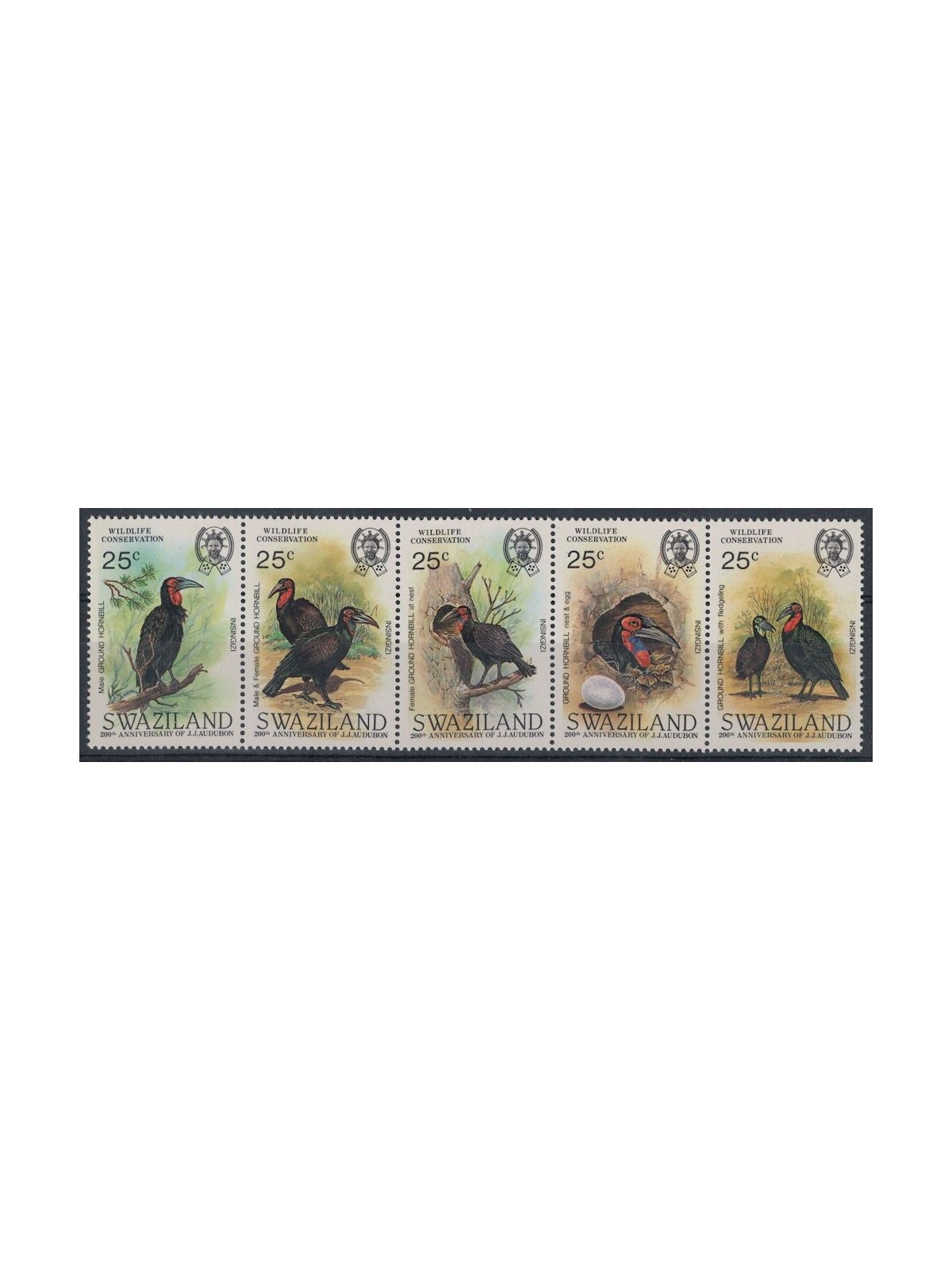 SWAZILAND 1985 Fauna, Bucorvus abyssinicus 5v MNH**