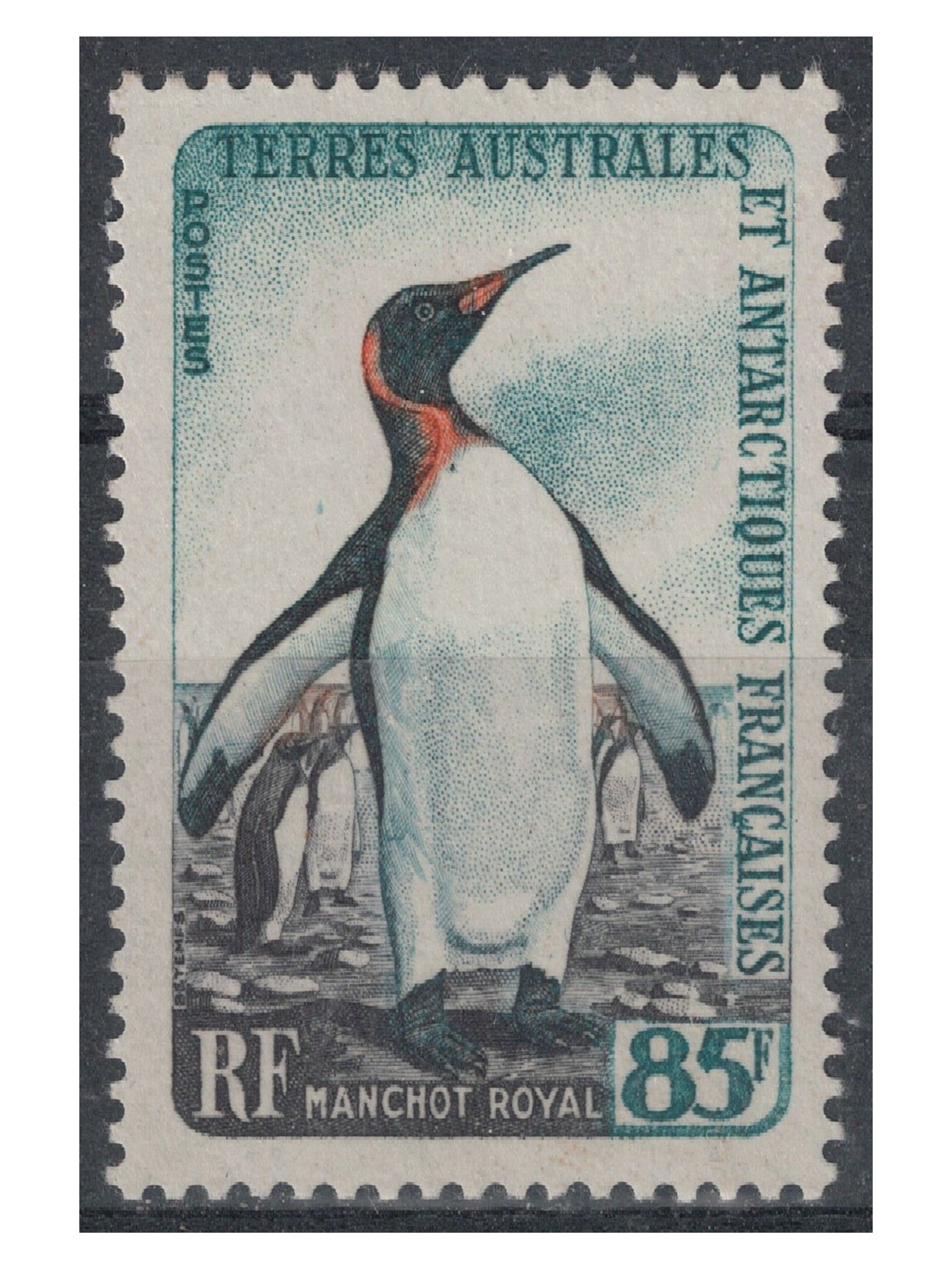 TAAF 1960 Fauna, pinguino reale MNH**