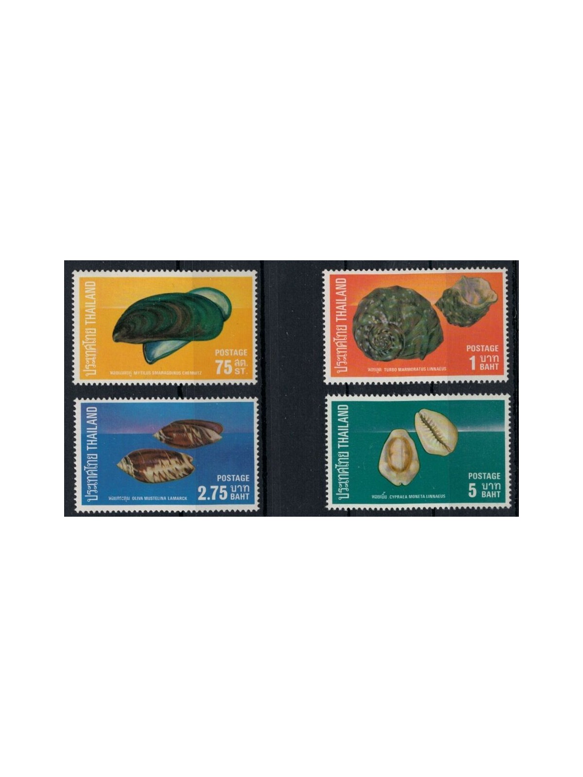 THAILANDIA 1975 Fauna marina (Conchiglie) 4v MNH**