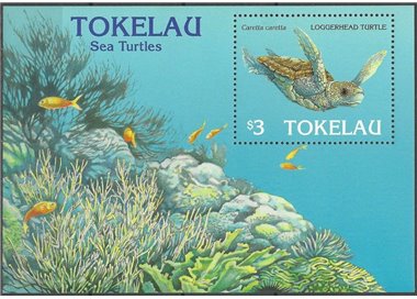 TOKELAU 1995 Sea turtles 1 BF MNH**