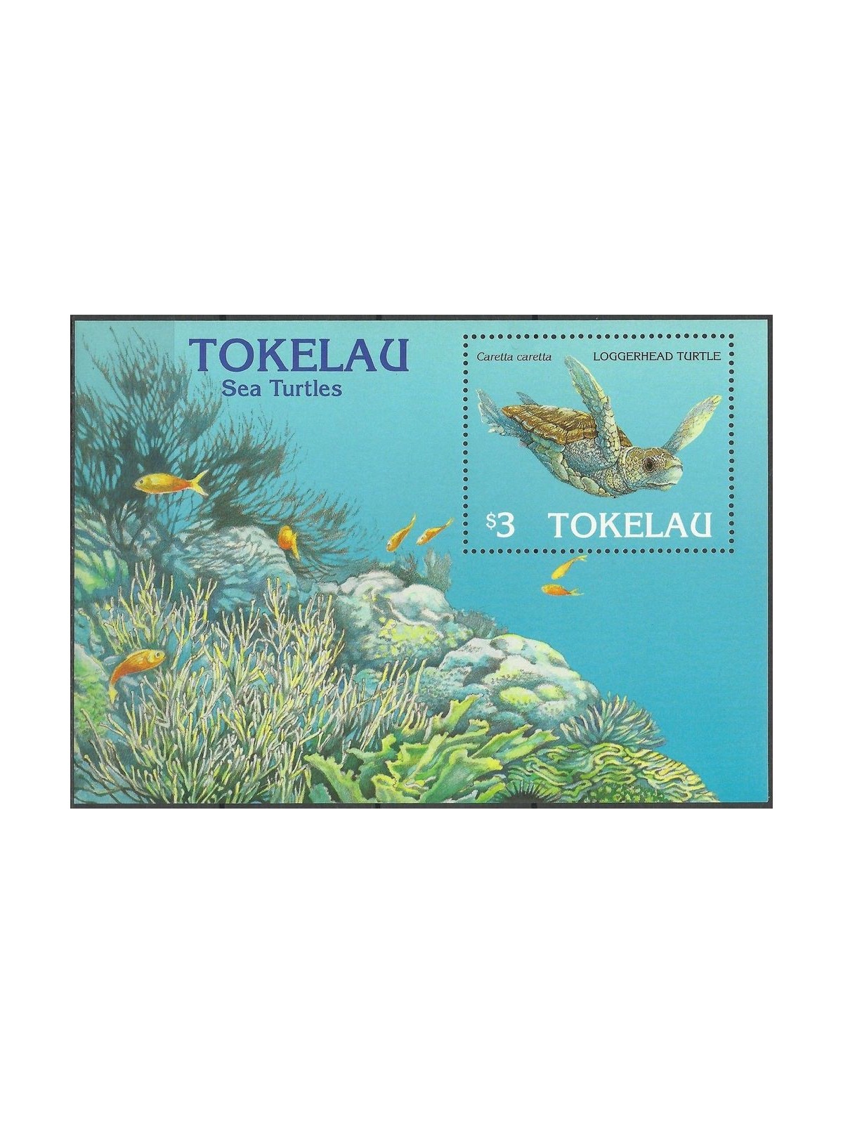 TOKELAU 1995 Sea turtles 1 BF MNH**