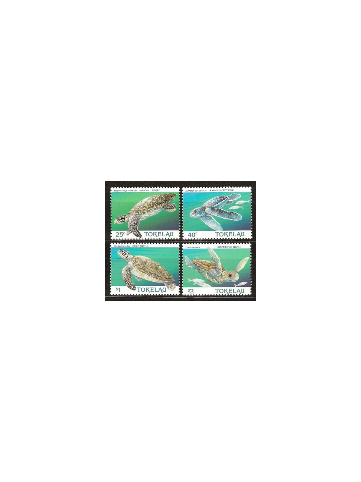 TOKELAU 1995 Sea turtles 4v MNH**