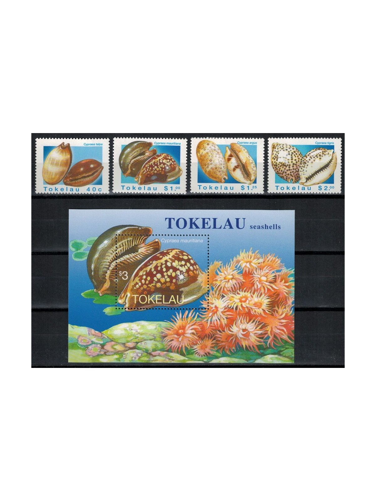 TOKELAU 1996 Shells 4v + 1 s/s MNH**