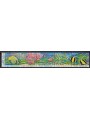 TOKELAU 1997 Coral reefs 5v MNH**