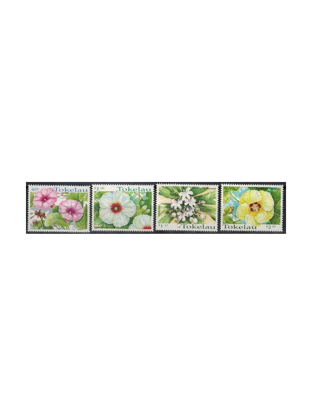TOKELAU 1998 Flowers 4v MNH**