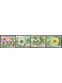 TOKELAU 1998 Flowers 4v MNH**