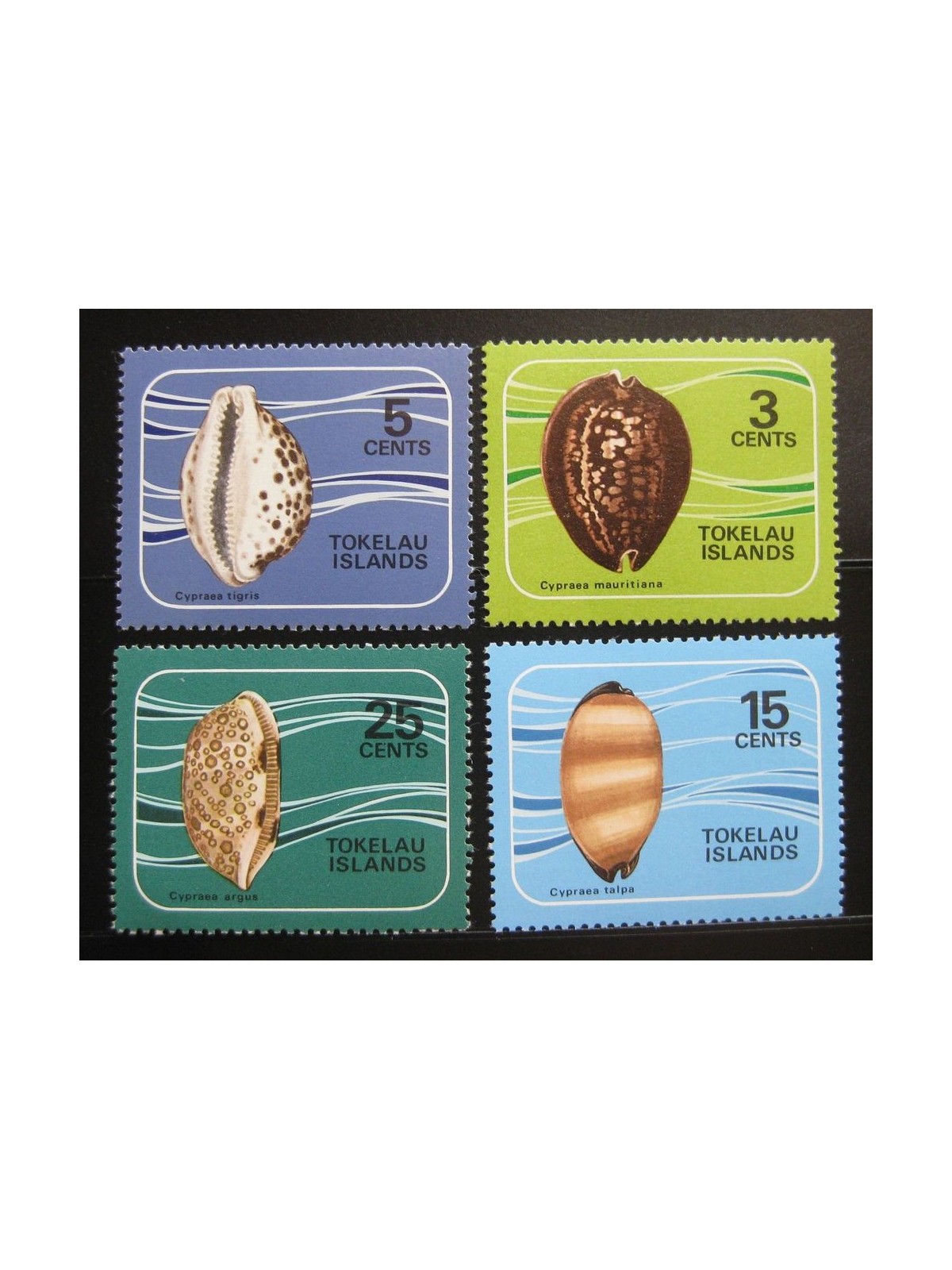 TOKELAU 1974 Conchiglie - Shells 4v MH*