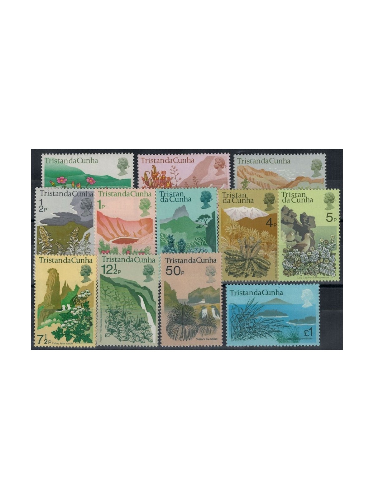 TRISTAN DA CUNHA 1972 Definitivi, flora locale - Definitives, Local Flora 12 v